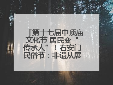 第十七届中顶庙文化节 居民变“传承人”！右安门民俗节：非遗从展柜走进烟火气