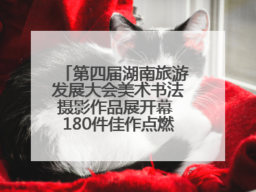 第四届湖南旅游发展大会美术书法摄影作品展开幕 180件佳作点燃岳阳文旅爆点