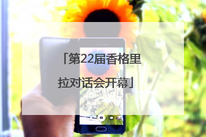 第22届香格里拉对话会开幕