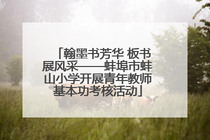 翰墨书芳华 板书展风采——蚌埠市蚌山小学开展青年教师基本功考核活动