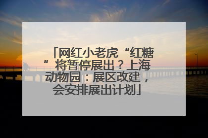 网红小老虎“红糖”将暂停展出？上海动物园：展区改建，会安排展出计划