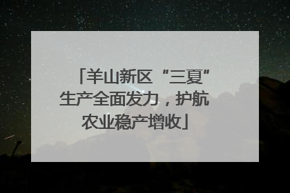 羊山新区“三夏”生产全面发力，护航农业稳产增收