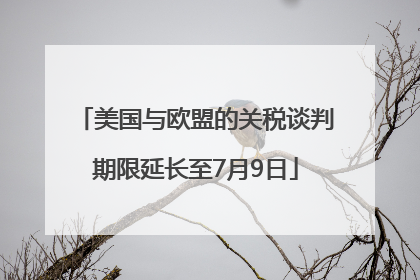 美国与欧盟的关税谈判期限延长至7月9日