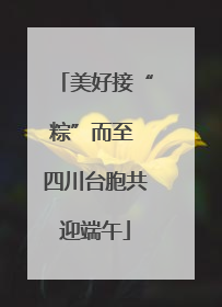 美好接“粽”而至 四川台胞共迎端午