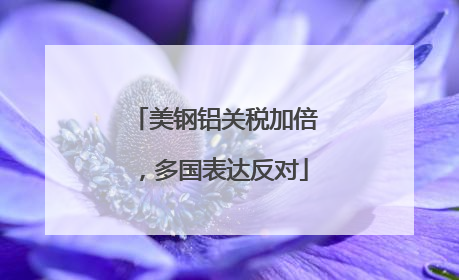 美钢铝关税加倍，多国表达反对