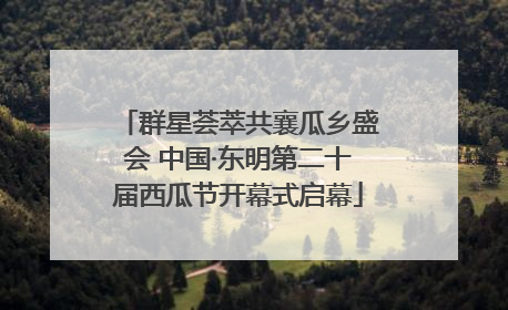 群星荟萃共襄瓜乡盛会 中国·东明第二十届西瓜节开幕式启幕