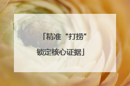 精准“打捞”锁定核心证据