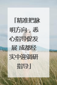 精准把脉明方向，悉心指导促发展 成都经实中迎调研指导