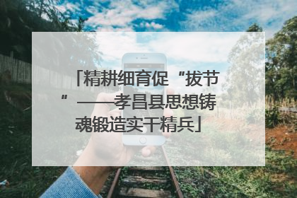 精耕细育促“拔节”——孝昌县思想铸魂锻造实干精兵