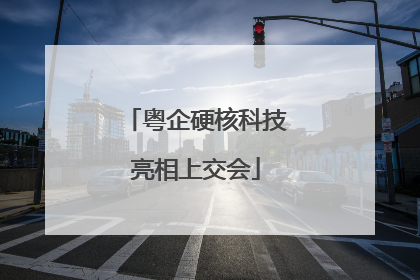 粤企硬核科技亮相上交会
