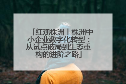 红观株洲丨株洲中小企业数字化转型：从试点破局到生态重构的进阶之路