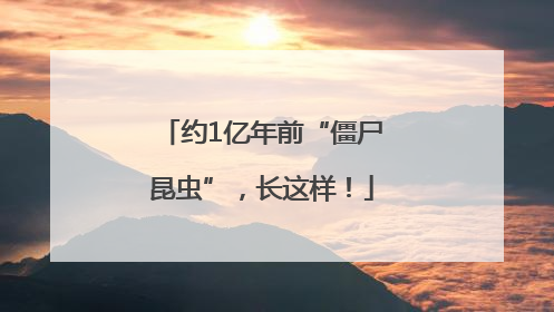 约1亿年前“僵尸昆虫”，长这样！