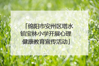 绵阳市安州区塔水镇宝林小学开展心理健康教育宣传活动