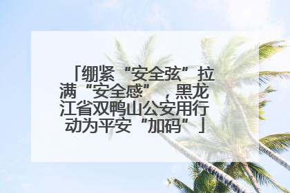 绷紧“安全弦”拉满“安全感”，黑龙江省双鸭山公安用行动为平安“加码”