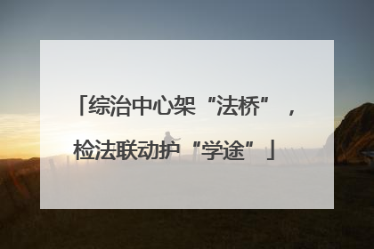 综治中心架“法桥”，检法联动护“学途”