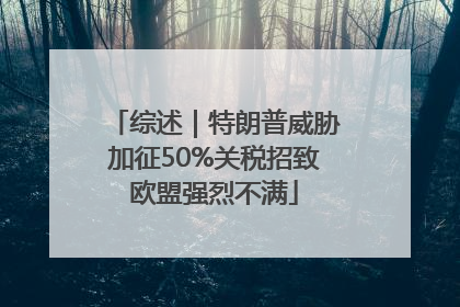 综述｜特朗普威胁加征50%关税招致欧盟强烈不满