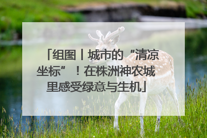 组图丨城市的“清凉坐标”！在株洲神农城里感受绿意与生机