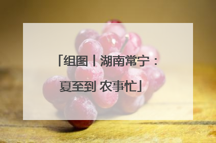 组图丨湖南常宁：夏至到 农事忙