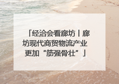 经洽会看廊坊丨廊坊现代商贸物流产业更加“筋强骨壮”