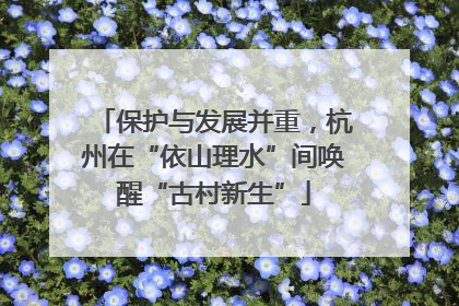 保护与发展并重，杭州在“依山理水”间唤醒“古村新生”