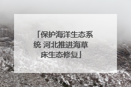 保护海洋生态系统 河北推进海草床生态修复