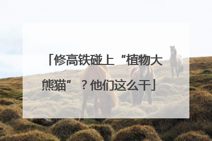 修高铁碰上“植物大熊猫”？他们这么干