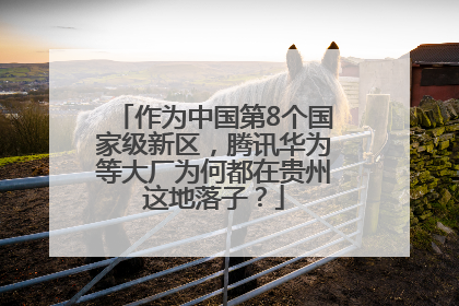 作为中国第8个国家级新区，腾讯华为等大厂为何都在贵州这地落子？