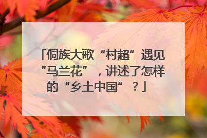 侗族大歌“村超”遇见“马兰花”，讲述了怎样的“乡土中国”？