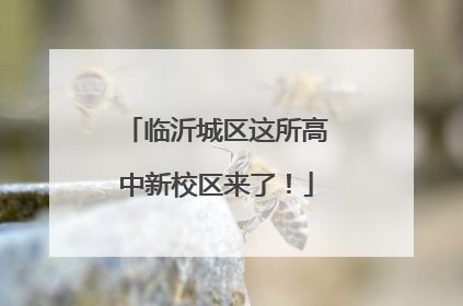 临沂城区这所高中新校区来了！