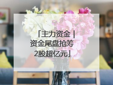 主力资金｜资金尾盘抢筹2股超亿元