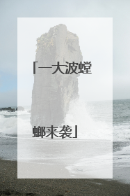 一大波螳螂来袭
