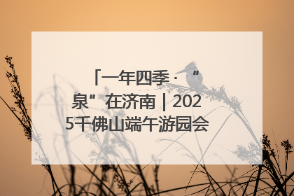 一年四季 · “泉”在济南｜2025千佛山端午游园会邀您共享亲子时光
