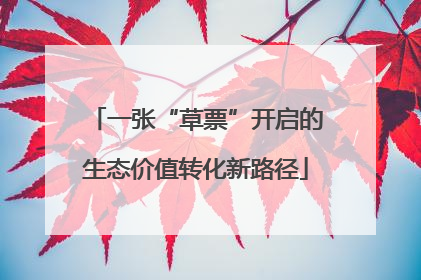 一张“草票”开启的生态价值转化新路径