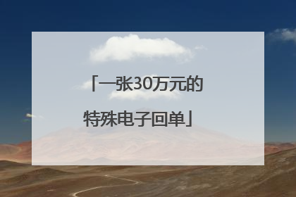 一张30万元的特殊电子回单