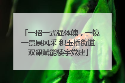 一招一式强体魄，一镜一景展风采 积玉桥街道双课赋能楼宇党建