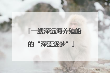 一艘深远海养殖船的“深蓝逐梦”