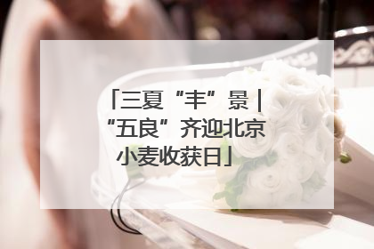 三夏“丰”景｜“五良”齐迎北京小麦收获日