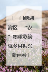 三门峡湖滨区：“农”墨重彩绘就乡村振兴新画卷