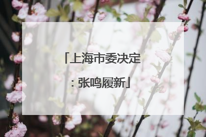 上海市委决定：张鸣履新