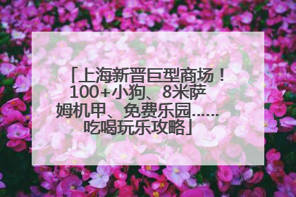 上海新晋巨型商场！100+小狗、8米萨姆机甲、免费乐园……吃喝玩乐攻略