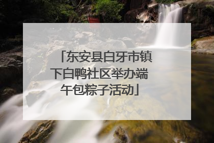 东安县白牙市镇下白鸭社区举办端午包粽子活动