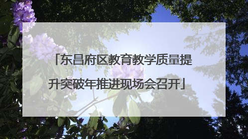 东昌府区教育教学质量提升突破年推进现场会召开