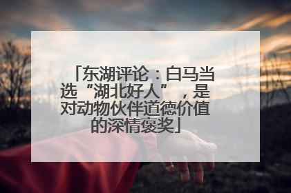 东湖评论：白马当选“湖北好人”，是对动物伙伴道德价值的深情褒奖