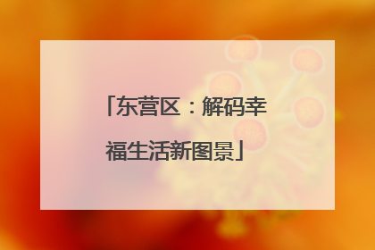 东营区：解码幸福生活新图景