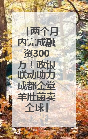 两个月内完成融资300万！政银联动助力成都金堂羊肚菌卖全球