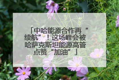 中哈能源合作再“续航”！这场峰会被哈萨克斯坦能源高管点赞“加油”