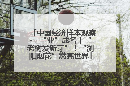 中国经济样本观察·一“业”成名丨“老树发新芽”！“浏阳烟花”燃亮世界