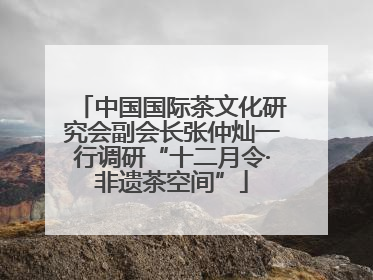 中国国际茶文化研究会副会长张仲灿一行调研“十二月令·非遗茶空间”