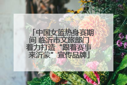中国女篮热身赛期间 临沂市文旅部门着力打造“跟着赛事来沂蒙”宣传品牌