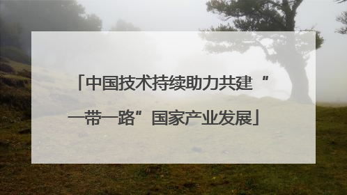 中国技术持续助力共建“一带一路”国家产业发展